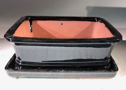 Black Ceramic Bonsai Pot - RectangleWith Humidity Drip Tray8" x 6" x - Anna's Shop