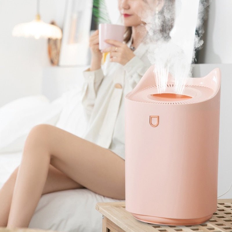 Humidifier Home 3L Air Ultrasonic Essential Oil Aroma Diffuser Double - Anna's Shop