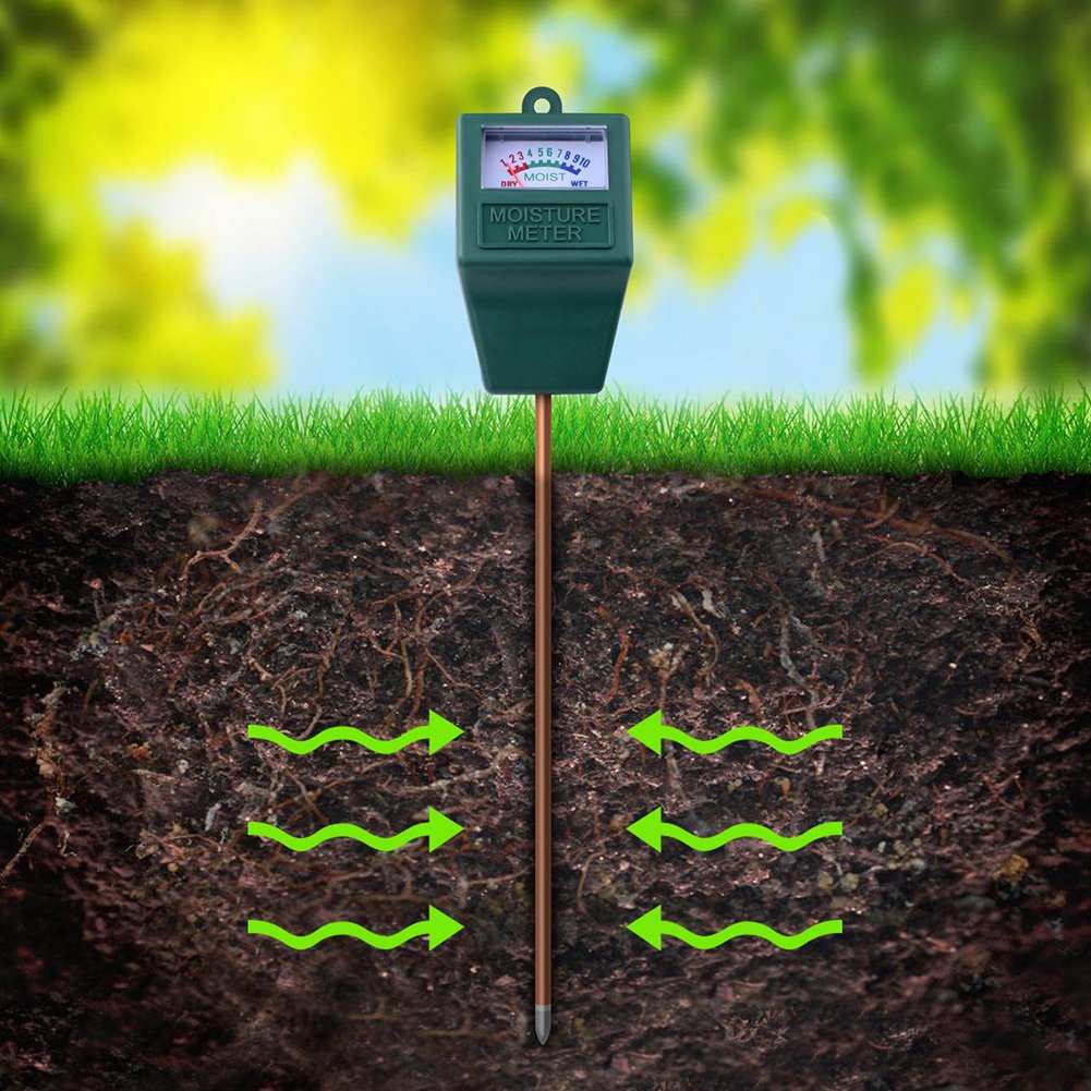 PH Sensor Lawn Hygrometer For Home - Anna's Shop