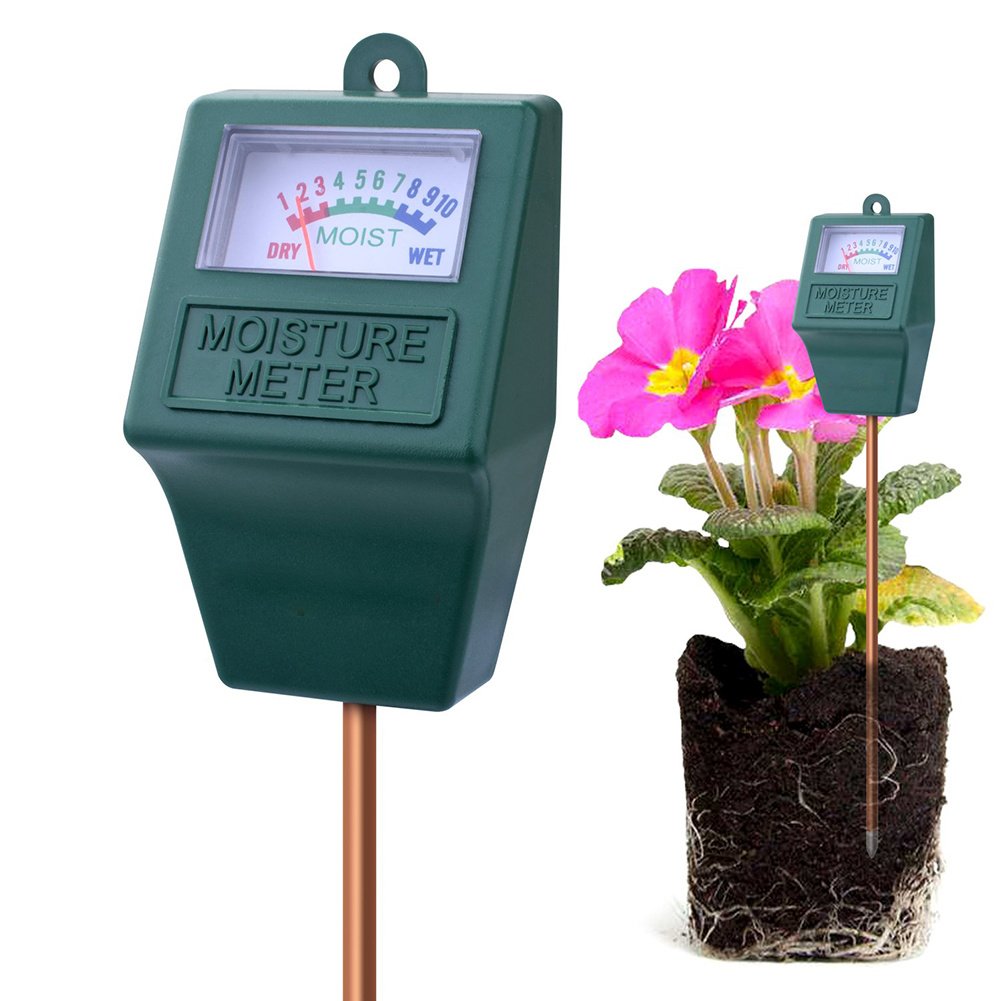 PH Sensor Lawn Hygrometer For Home - Anna's Shop