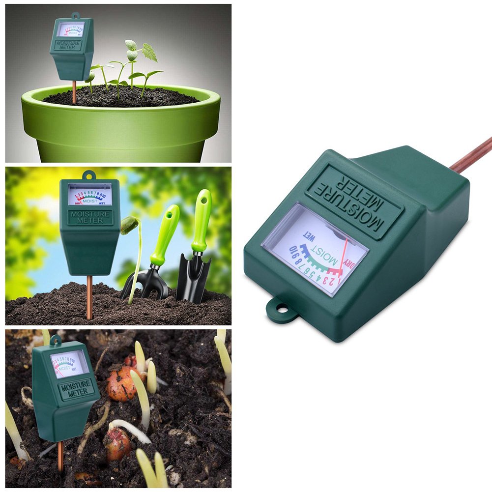 PH Sensor Lawn Hygrometer For Home - Anna's Shop