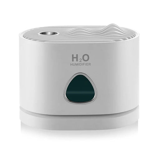 USB Rechargeable Humidifier Air Purifier with LED Light for Home - Anna's Shop