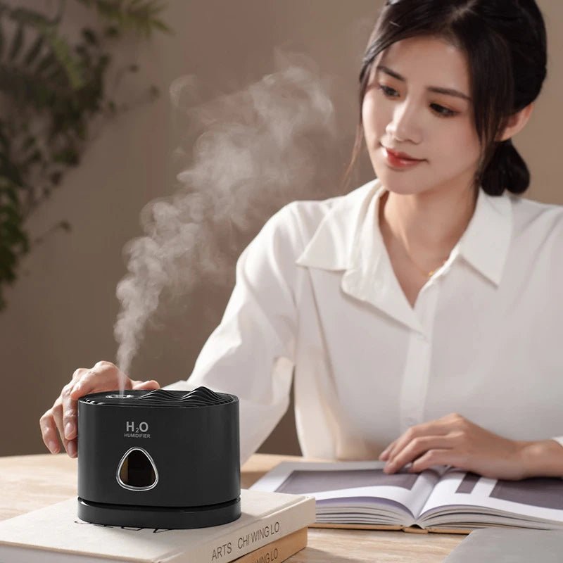 USB Rechargeable Humidifier Air Purifier with LED Light for Home - Anna's Shop