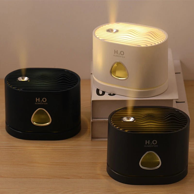 USB Rechargeable Humidifier Air Purifier with LED Light for Home - Anna's Shop